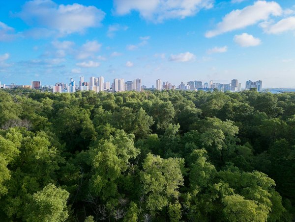 Trouver un plateau en verre de qualité