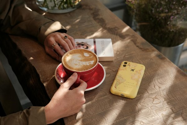 Comprendre l'association  des p'tits doudous nantais : guide complet