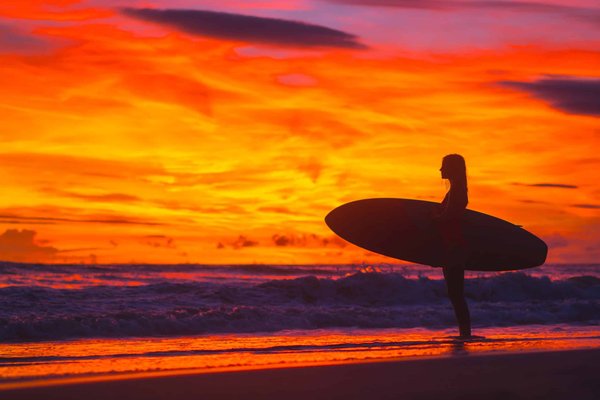 Quelles informations sont essentielles sur l'art des silhouettistes ?