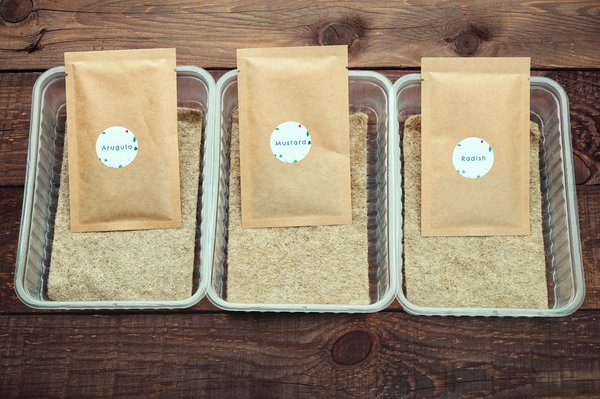 Avantages des enveloppes en plastique recyclé