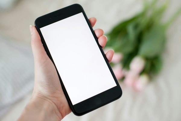 Comment choisir l'application idéale pour vos besoins ?